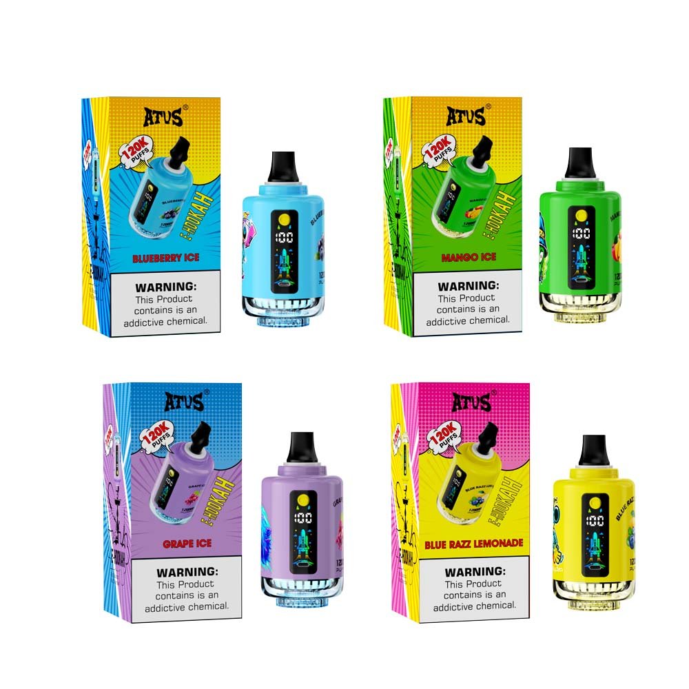 12000 puffs fruit flavor hookah shisha vape