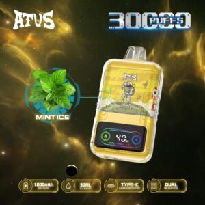 ATVS 30000 puffs miami mint disposable vape