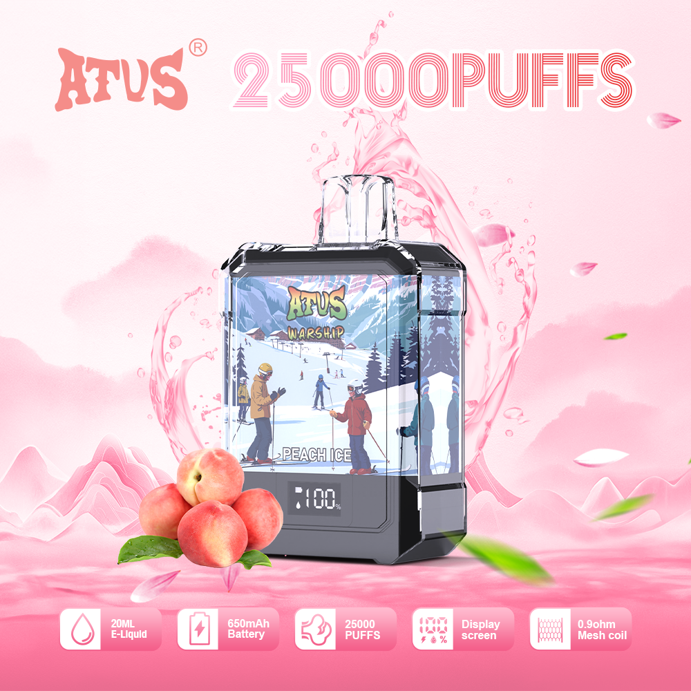 DE013A 25000 Puffs Disposable Vapes with LED display screen and adjustable airflow ATVS Vape
