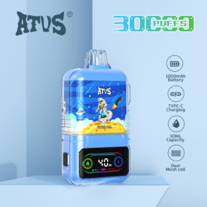 DE021 30000 Puffs Disposable Vape with LED display screen and adjustable airflow MTL DTL