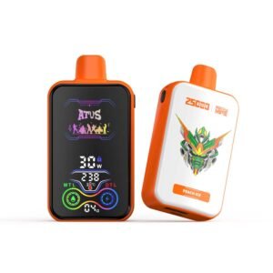 25000 puffs peach ice disposable vape